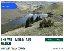 Wild Mountain Ranch online auction