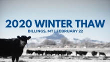 Winter Thaw 2020 Winter Thaw 2020