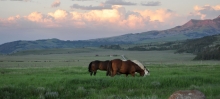 Matador Beaverhead Ranch sells Matador Beaverhead Ranch sells