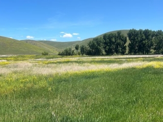 Map of 46624 Valley View Road: 240 acres NW of Ronan