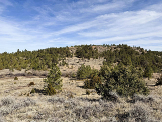 Map of Legacy 551 Ranch: 551 acres NW of Volborg