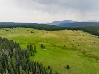 Moose Park
