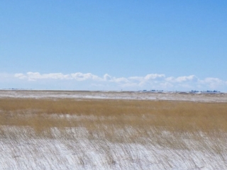 Northeast Montana Dryland Farm
