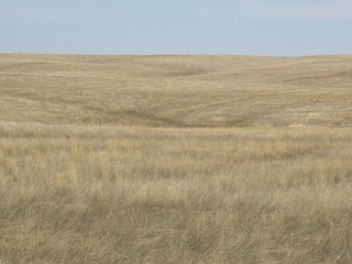 Dream Hunting Property Bordering State Land And Block Management