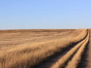 Smith Farm