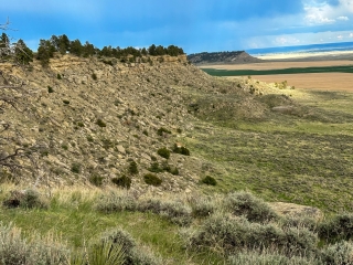 Map of Shepherd Acton Road: 1372.62 acres West of Acton