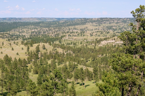 Map of Pine Ridge Sanctuary: 640 acres SE of Pompeys Pillar