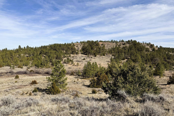 Map of Legacy 551 Ranch: 551 acres NW of Volborg