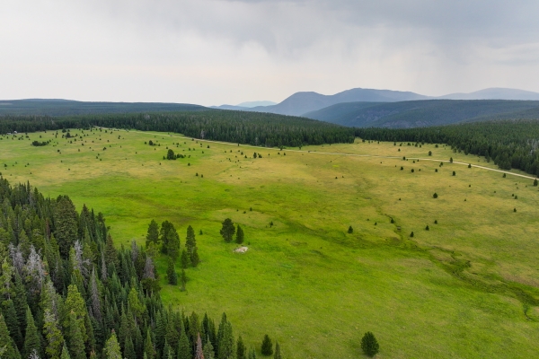 Moose Park