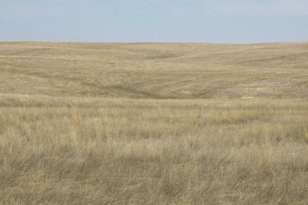 Dream Hunting Property Bordering State Land And Block Management