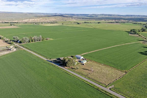 Silver Tip Farms